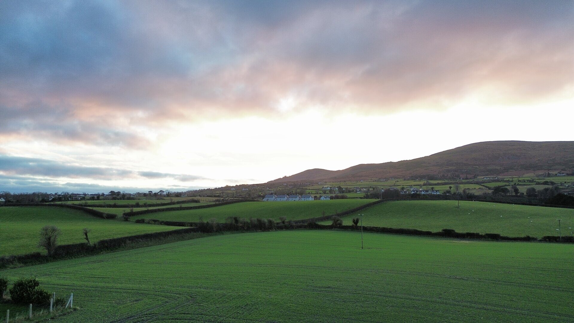 Carlingford Village aerial view