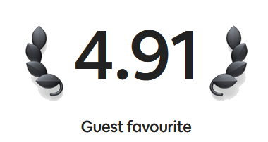 4.91 Guest Favourite on Airbnb
